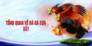 Đá Gà Cựa Sắt - Sảnh Chơi Cá Cược Hấp Dẫn Dành Tại Good88