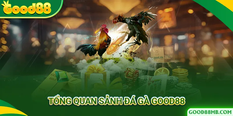 Tổng quan thông tin sảnh đá gà Good88